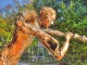 Estatua_no_Parque