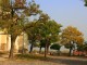 Arvores_em_Szentendre