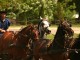 Cavalos_Bonitos_na_Puszta