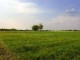 Paisagem_da_Puszta